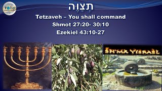 Tetzaveh | "You shall command" Torah Portion