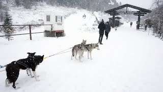 Автотуризм Плато Лаго Наки в Адыгее