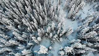 Winter Wilderness Woods in northern Canada by Mavic Air Drone