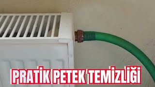 Petek Bakımı Nasıl Yapılır