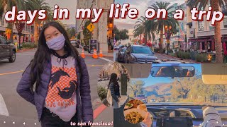 FUN DAYS IN MY LIFE ON A ROAD TRIP! a fun san francisco travel vlog: a few days in my life on a trip