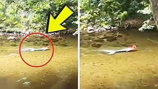 Travelers Discover Strange Shape in River, They Are Shocked By What They Find Up Close