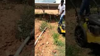 Weeds Removing under the solar Panel using @CubCadetUSA Wheeled String Trimmer