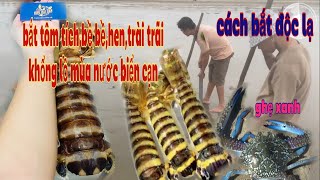 Bắt tôm tích,bề bề,chài trãi,ghẹ xanh,sâu biển,khi thuỷ chiều cạn/cách bắt/độc lạ sầm sơn