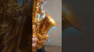 saxophone Improv in Bb solo #saxophone #jazzsaxophone