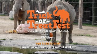 Trick Or Treat Fest Returns October 7th