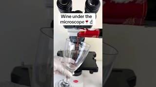 Wine under the microscope #microscope #shortfeed #wine #fyp #shorts