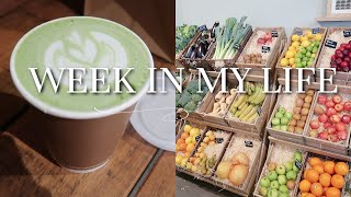 WEEK IN MY LIFE | Farmshop visit, new vinyl records + beauty empties