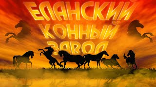 Еланский Конный Завод - ВСЁ О КОНЕВОДСТВЕ, ЛОШАДЯХ И ИХ СОДЕРЖАНИИ! [ ЧАСТЬ 1 ]