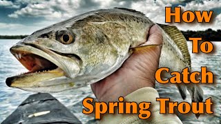 How to Catch Spring Time Trout - Back on Land #1