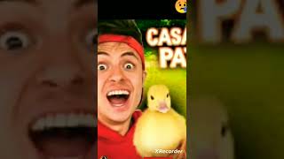 o pato do @enaldinho