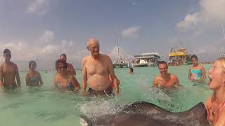 Stingrays, petting and kissing