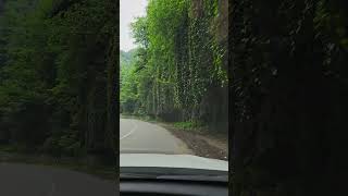 Абхазия, горная дорога. Abkhazia, mountain road. #абхазия #сухум #кавказ #abkhazia #sukhum