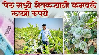 पेरू मध्ये शेतकऱ्याने कमवले लाखो रुपये@atharavhightechnursery #agriculture #kiransewale#agriculture