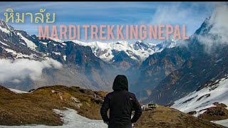 เทรคกิ้ง Mardi himal  สูง 4500 เมตร  เทือกเขาหิมาลัย เนปาล | Nepal