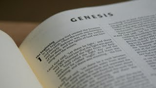 Bible Study- Genesis Week 1