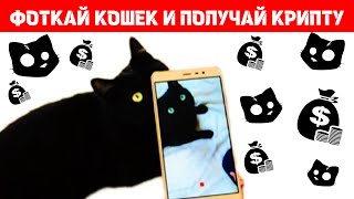 ПРОЕКТ ПЛАТИТ ДЕНЬГИ ЗА ФОТКИ ТВОЕГО КОТА | УСПЕЙ ЗАРАБОТАТЬ МОНЕТЫ $CATS ДО ВЫХОДА!