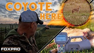 Expect the Unexpected | Calling Coyotes with the FOXPRO Prowler