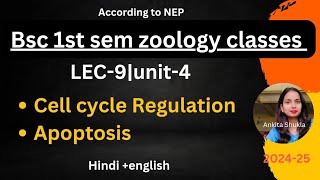 lec-9|BSc 1st sem zoology classes|unit-4|cell cycle Regulation & apoptosis#bsc1stsemester#bsczoology