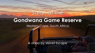 Safari at the Gondwana Game Reserve in South Africa