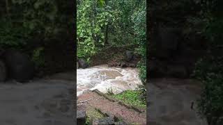 कोकणातील मुसळधार पाऊसा नंतर आलेला पूर..#rain #kokan #enjoy