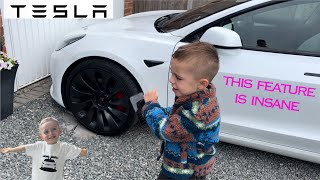 The best TESLA feature you have never seen before ever ! Promise