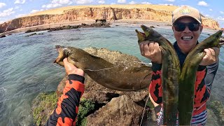 PESCARIA de MOREIA ( CARAMURU) TEM QUE TER CORAGEM PARA PESCAR ESSE PEIXE !