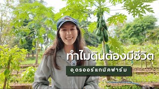 ทำไมดินต้องมีชีวิต | Udon Organic Farm