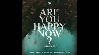 R3hab feat. Curley G & Crazy Donkey - Are You Happy Now (2024) audio