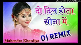 Do Dil Hota Seena Me Manraj Diwana Old Remix Song 3d brazil Remix