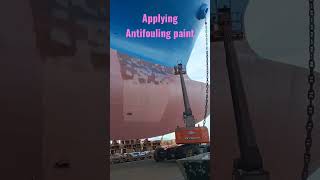 Anti-fouling paint applied to ship's hull #shorts #drydock #painting #antifouling #hull #seaman