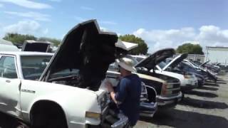 1979 Buick LeSabre at Budget U Pull It in Orlando, FL