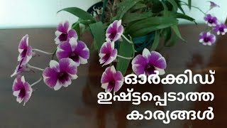 ഓർക്കിഡ് പരിപാലനം തുടക്കക്കാർക്ക് | Orchid Care for beginners