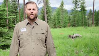 Conservation for the Future - Carolyn Zajanc Peck, Libby, Mont.