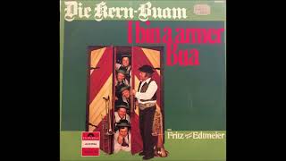 's Finanzamt brennt, Die Kern Buam, I bin a armer Bua, LP 2440236, S. Fellner, Kaderka,Berg