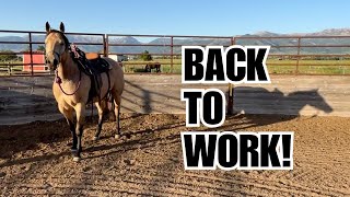 Summer Routine ~ I finally start working the HORSES! ❤️