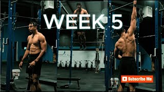 Smolov Squat Program - Week 5 Homeless