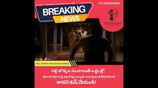 నల్లి బొక్కల పంచాయితీ ఒద్దు బ్రో. వేటగాడి దెగ్గర మస్త్ నల్లి బొక్కలున్నాయ్. కావాల్సినంత తీసుక పొండి!