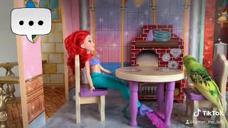 Funny animals | bird having dinner with princess Ariel