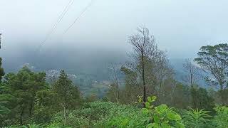 Kodaikanal today climate | Cottage in kodaikanal | couple budget rooms | rooms in kodaikanal