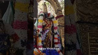 Vlog 110 | Saturday Thiruvallikeni Sri Parthasarathy Perumal #Darshanam #shorts #ytshorts