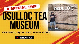 Trip to Osulloc Tea Museum & Osulloc Green Tea Field, Seogwipo, Jeju Island