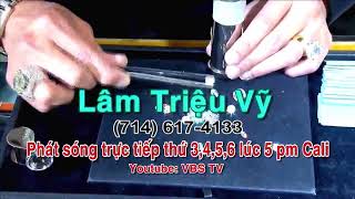 VBS - DAU GIA KIM CUONG - LAM TRIEU VY 310-968-0577