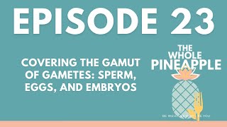 EP. 23: COVERING THE GAMUT OF GAMETES: SPERM, EGGS, AND EMBRYOS