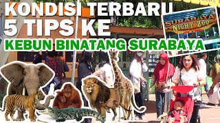 KONDISI TERBARU + 5 TIPS KE KEBUN BINATANG SURABAYA, Update Parkir, Tiket Masuk, Cara Pembayaran dll