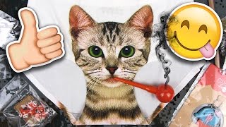 9 Посылок с Aliexpress | Трусишки с Кошкой • Милые Мелочи