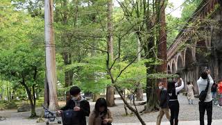 Travel Kyoto Japan.  Nanzen-ji Temple #travel #japan #kyoto