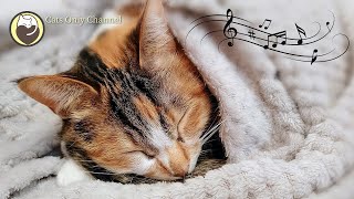 Relaxing Music for Cats - Cat Purring Sounds & Piano Music / Relaxing Sleep Music, Stress Relief