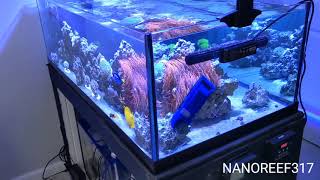 NEW REEF TANK TALK!