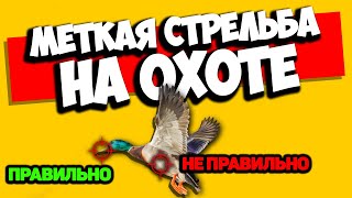 Как БЕЗ ПРОМАХА стрелять на охоте? Секреты точной стрельбы на охоте